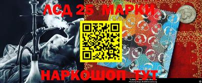 молекула духа Донецк