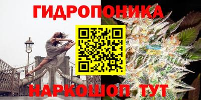 мдма Дубна