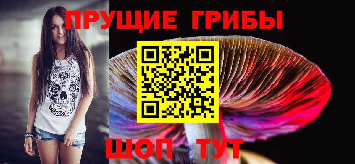 Галлюциногенные грибы Magic Shrooms  Псилоцибиновые грибы GOLDEN TEACHER  Вход с VPN  Магнитогорск 